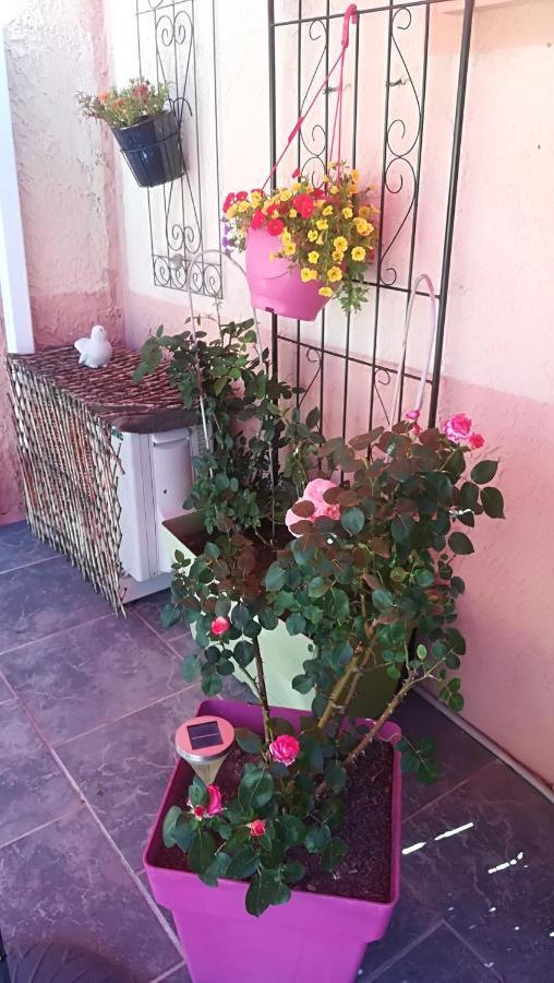 Mas De La Coucourde Bed & Breakfast Paluds de Noves Exterior photo