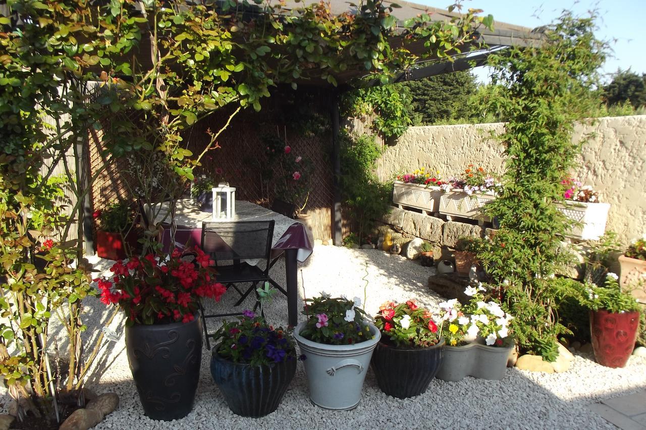 Mas De La Coucourde Bed & Breakfast Paluds de Noves Exterior photo
