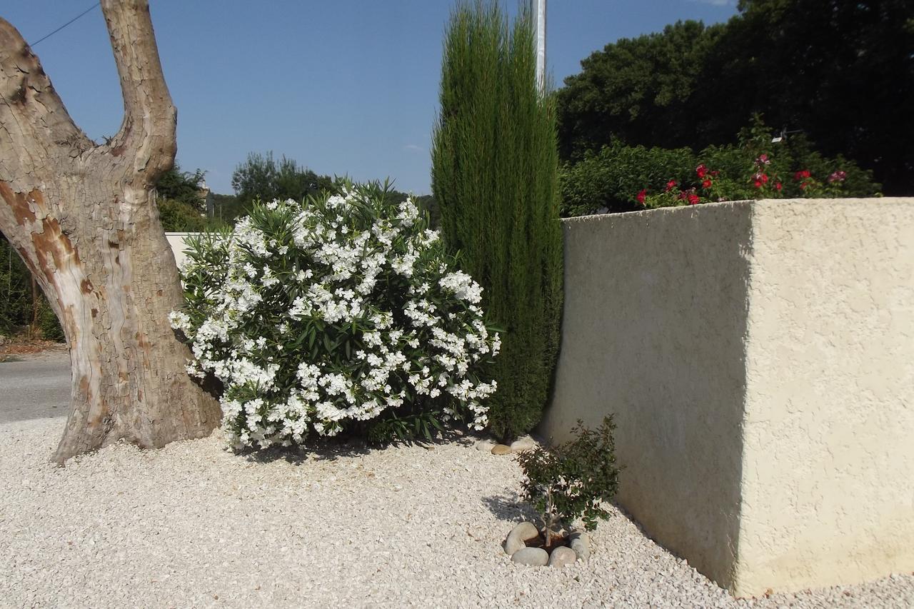 Mas De La Coucourde Bed & Breakfast Paluds de Noves Exterior photo